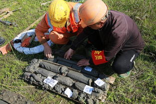 探秘海底巨龙 甬舟铁路海底隧道工程勘探正酣